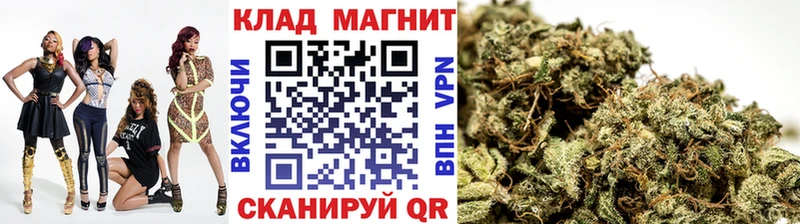 Купить наркоту Асино НБОМе  Амфетамин  Гашиш  Мефедрон  Alpha PVP  Каннабис 