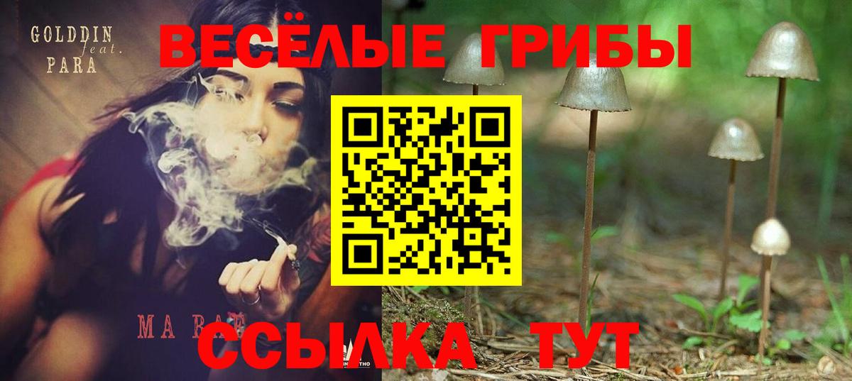 Асино  Псилоцибиновые грибы ЛСД  Вход с VPN 