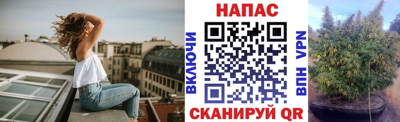 Конопля AK-47  Асино 